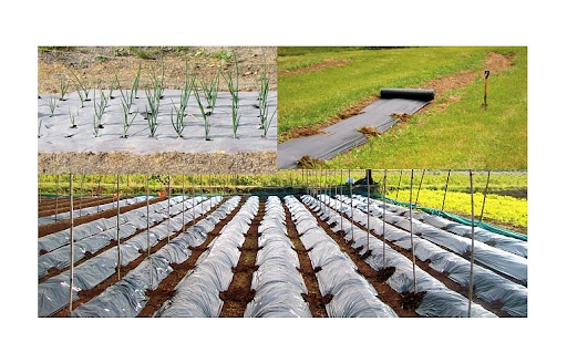 送無】GREAT MIX CULTURE SOIL【M】30L 3mm〜9mm 送無】GREAT MIX CULTURE SOIL【M】30L 3mm〜9mm